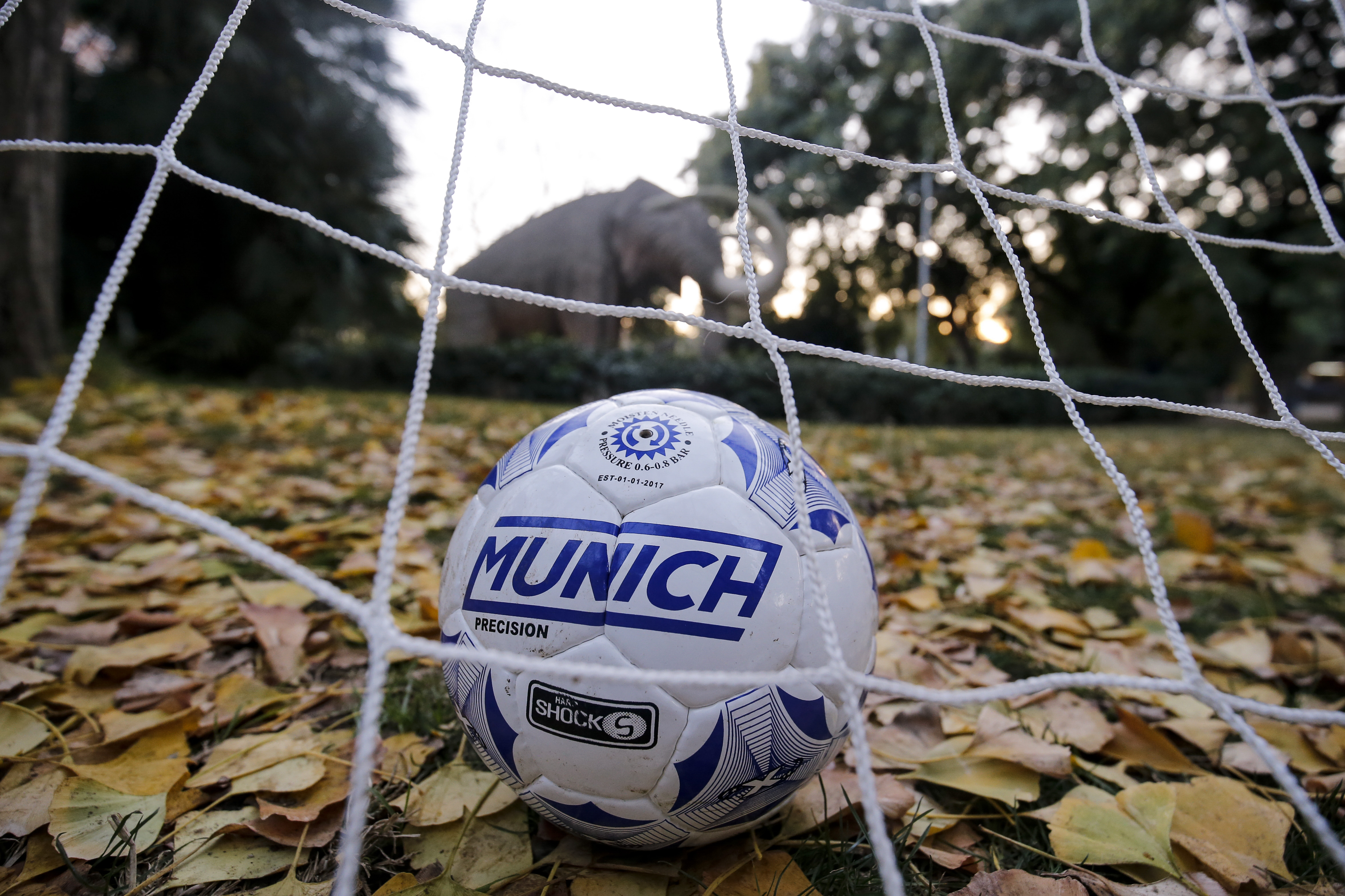 munich brt united
